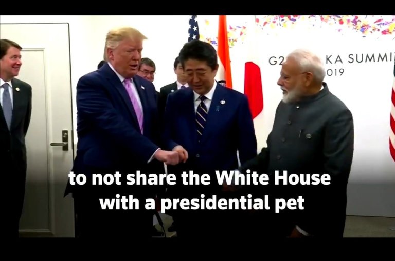 Photo of नरेंद्र मोदी, जापानी PM, ट्रम्प और कुत्ता: रॉयटर्स ने दिखाई नस्लभेदी मानसिकता