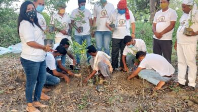 Photo of ह्यूमन वेलफेयर इक्वल जस्टिस संस्था ने नीम, पीपल, बरगद, आम समेेेत 50 पौधे लगाए