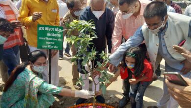 Photo of नक्षत्रों के 27 पौधों के साथ ही कनकचम्पा, बरगद व सदाबहार सहित विभिन्न प्रजातियों के 60 पौधे रोपे