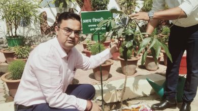 Photo of विश्व पर्यावरण दिवस के अवसर पर लविप्रा उपाध्यक्ष ने किया वृक्षारोपण