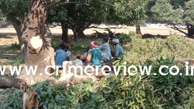 Photo of गुडम्बा के सींवा गांव में हरियाली के सीने पर ‘लापरवाही का आरा’