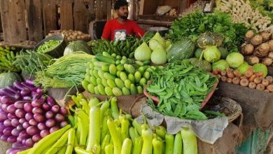 Photo of यूपी में आसमान छू रहे इन सब्जियों के दाम, सब्जियों की कीमत में बढ़ोतरी होने से आम जनता परेशान