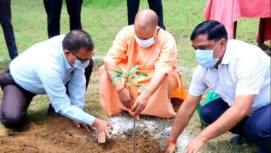 Photo of यूपी में आज से ‘पेड़ लगाओ-पेड़ बचाओ’ थीम के तहत लगाए जाएंगे 35 करोड़ पौधे, सीएम योगी ने लोगों से की अपील