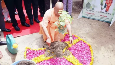 Photo of यूपी में सीएम योगी ने किया ‘पेड़ लगाओ पेड़ बचाओ अभियान का शुभारंभ, एक ही दिन में लगाए जाएंगे 36.50 करोड़ पौधे